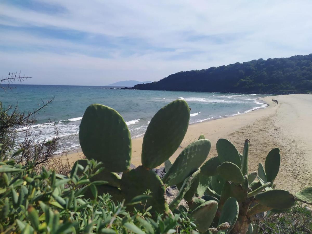 Appartamento A 50 Mt Dal Mare Cala Gonone Εξωτερικό φωτογραφία